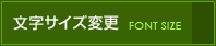 文字サイズ変更